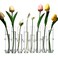 Dinyeo Hinged Flower Vase Small Tiny Glass Foldable Test Tube Vase Propagation Station for Plant.(8 Pcs)