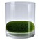 TINYVISTA Clear Cylinder Glass Vase 4.72" Tall, Wide Candle Holder Terrarium for Flower Wedding Party Short Cylinder Vases for Centerpieces (with Faux Moss Balls)