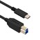 CBUS 6ft USB-C to USB-B USB 3.0 Cable Compatible with iFi Zen DAC, Dell Monitors, Printers Scanners, External Hard Drives, USB Hub Docking Stations &amp; More (Black)