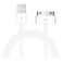 ZLONXUN Cable Compatible with Charger iPhone 4/4S/3G/3GS,Old iPad 1 2 3,iPod Touch 4 3 2 1 Nano, iPod Classic 3 2 1,(3.3 Feet,White)