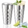 Foraineam Double Layer Vacuum Insulated Stainless Steel Cups 16 oz Drinking Glasses Beer Water Tumblers Unbreakable Metal Hot &amp; Cold Drinking Cups for Home Restaurant Bar Party Camping, Set of 2