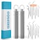 CoguZed 14pcs Stainless Steel Toothpick Set, Reusable Metal Toothpicks for Teeth with Dispenser, Portable Travel Toothpick Tool for Outdoor Picnic Camping