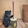 Rustic Black Bear Toilet Brush Set - Decorative Holder and Brush for Cabin Lodge Bathroom D&Atilde;&copy;cor
