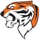 Anderson's 25-Piece Tiger Head Body Decal Set, Tattoos, Cheek Cheers, Fan Gear, Sports Fan Gear,School Spirit, Football Cheerleader Accessories, Homecoming