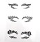 Black Fabric Eye shadow Tattoo Sticker Reusable Eye Liner Stickers Party Lace Stickers on Face