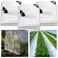 Berlune 3 Pack Clear Greenhouse Heavy Duty Tarp, 8 x 10 ft Clear Waterproof Cover, 14 Mil Clear Plastic Mesh Tarp Uv Resistant Poly Tarp with Grommets for Gardening, Farming, Nursery Outdoor Event