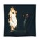 ENMOON Album Cover Tapestry Flag Hanging Living Room Bedroom Dorm Aesthetic Decor 48x48inch