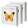 QDSSDECO 10"*10" Shadow Boxes Display Cases with Soft Linen Back Deep Wood Glass 3D Shadow Box Set for Wall and Tabletop, 3 Pack White