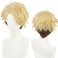 Yellow and Brown Cosplay Wig for Anime Ensemble Stars Narukami arashi with Short Curly Heat Resistant Fiber Synthetic for Halloween, Comic Con, Cosplay Show Wigs