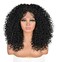 Annivia Curly Lace Front Wigs for Black Women Short Curly Lace Front Wig Pre Plucked with Babyhair, Natural Looking Synthetic Kinky Afro Short Curly Frontal Hair Wig 16inch&iuml;&frac14;&circ;Natural Black,13&Atilde;&mdash;4&iuml;&frac14;&permil;