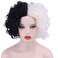 Hulaidywig Half Black Half White Cosplay Costume Wig for Women Curly Wig Heat Resistant Hair Wigs for Halloween Party Cosplay