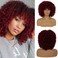 Dai Cloud Short Wine Red Curly with Bangs Afro Fluffy Wigs for Black Women Natural Looking Synthetic Heat Resistant Kinky Wig for Daily Party Halloween Cosplay Use