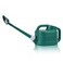 Watering Can for Indoor &amp; Outdoor Plants, 1 Gallon Garden Watering Can for House Plants Garden Flower, Small Watering Can Indoor with Long Spout and Detachable Sprinkler Head - Dark Green