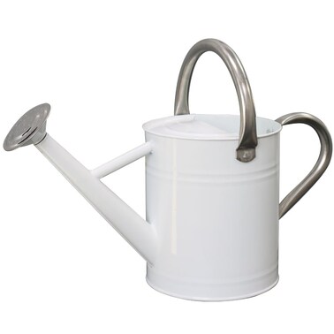 yourjoy Metal Watering Can, One Gallon Watering Cans Stainless Steel for Outdoor Indoor Garden Plants Watering (White)