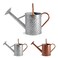 BLstyle 1 Gallon Metal Watering Can for Outdoor Indoor Plants, Galvanized Watering Can with Removable Spray Spout, Ideal for Garden Watering