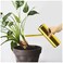 1.1L / 37oz Watering Can Vase Stainless Steel for Indoor Outdoor Use - Small Metal Mini Watering Can for Indoor Plants, House Plants, Bonsai, Herb Garden, Kitchen, Flower Pot, Long Spout Nose, Gold