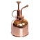 lianshi Plant Mister Spray Bottle Stainless Steel Plant Sprayer, Small Watering can Plant Spray Bottle Modern Gardening Tools for Indoor Potted Plants Watering and Spraying