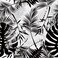 Wallercity Tropical Black Wallpaper Peel and Stick Botanical Leaf Black Leaves Wallpapers for Bedroom Modern Palm Leaf Peel and Stick Wallpaper 17.5" x78.7" Removable White Contact Paper for Cabinets