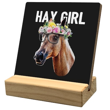 HONLUNG Horse Gifts For Girls, Hay Girl Horse Desk Sign Decor, Gifts For Girls Who Love Horses