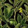 VaryStyle Tropical Jungle Peel and Stick Wallpaper Black/Green Palm Tree Banana Leaf Jungle Wallpaper 17.7"x118" Removable Self Adhesive Tropical Dark Contact Paper for Cabinets Bedroom Bathroom Walls