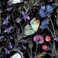 ReWallpaper Spring Floral Wallpaper Peel and Stick Dark Wild Flowers Butterfly Wallpaper Removable Floral Contact Paper Peel &amp; Stick Wall Mural 17.5in X 10ft Purple Iris/Blue/Black/Green/Pink Flowers