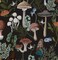 EeeComing Black Mushroom Wallpaper Peel and Stick Wallpaper Boho Black Forest Wallpaper 78.7''x16.14''Removable Wallpaper Mushroom Contact Paper for Bedrooms Living Study Room Self Adhesive Vinyl