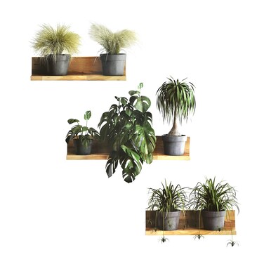 Maydahui Creative Green Pot Plants Leaves Wall Decals 3D Bonsai Tropical Plant Wall Sticker (34 x 31 Inch) Peel Stick Removable Nature Art Mural Decor for Office Home Living Room Bedroom