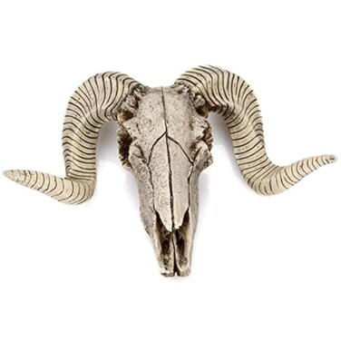 MBVBN Skull Sheep Head Wall Sculpture,Resin Ram Skull Wall Decorations,Ram Sheep Skull Decor Animal Skull Skeleton Head Sculpture Wall Hanging Art Collectible Decor (A)