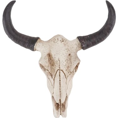 Romeeton Horn Skull Wall Hanger Mounted For Household Wall Decoration Bar Restaurant Hotel Wall Decoration, Goat Horn Skull Wall Hanger, Bull Head Skull Wall Hanging, Resin Skull Sculpture Art (B)