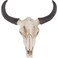 Romeeton Horn Skull Wall Hanger Mounted For Household Wall Decoration Bar Restaurant Hotel Wall Decoration, Goat Horn Skull Wall Hanger, Bull Head Skull Wall Hanging, Resin Skull Sculpture Art (B)