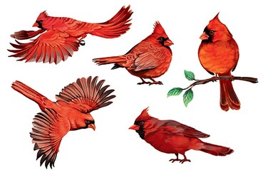 WIRESTER Decal Vinyl Wall Stickers Decoration for Home Office Living Room Wall Bathroom, Red Cardinal Birds