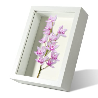 4x6 Small Shadow Box Frame Display Case with Real Glass for Memorabilia,Wedding Memories,Pins,Awards,Crafts,Tickets and Photos(White,Rjgyxq)