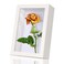 4x6 Small Shadow Box Frame Display Case for Memorabilia,Wedding Memories,Pins,Awards,Crafts,Tickets and Photos(White,Rjgyxq)