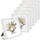 6 Pack 8 x 8 Inches Shadow Box Frame, 3D Wood Frame Memory Display Cases,1.2in Depth Picture Frame Case for Dried Flowers, DIY Craft,Medals, Memorabilia,Tickets