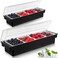 Zhehao 2 Pieces Ice Cooled Condiment Serving Container Chilled Garnish Tray with Lid Fruit Veggie Condiment Caddy Plastic Condiment Server Tray Organizer for Ice Cream Salad Bar Home Restaurant