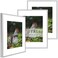 Golden State Art - 11x14 Metal Picture Frames with Mat - Display 8x10 Photo or 11x14 Poster - 11 x 14 Inch Aluminum Frames with Real Glass - Gallery Wall Frame Set of 3 - Silver