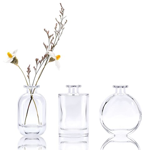 WHJY Clear Glass Vase Set of 3, Decorative Flower Vases for Centerpieces, Colored Bud Vases, Small Geometric Vases for Wedding, Home D&Atilde;&copy;cor