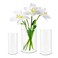Plastic Cylinder Vase Clear Flower - 3Pcs Eylkoi Acrylic Hurricane Vases Round Glass Vases Pot Container for Display Tulips Wide Wedding Party, Table, Centerpieces, Home, Shatter-Proof, 8,10,12'' (H)