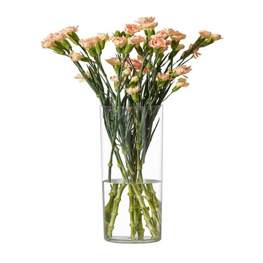 RosPynn Flower Vase Acrylic Cylinder,7.86" Tall Clear Vase for Centerpieces,Wedding Decorative,Home D&Atilde;&copy;cor, Non Breakable Plastic, 3.94" x 7.86" Tall Round - Clear