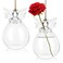 Yardwe Clear Glass Guardian Angel Vases 2pcs Cute Clear Glass Angel Shape Flower Plant Hanging Vase Wedding Decor Greenery Hydroponic Plant Containers Room Ornaments Decorations