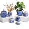 RMERVE Set of 6 Small Blue and White Porcelain Vases Blue Chinoiserie Decor Gifts Ceramic Flower Vases Classic vase Decor for Home Bedroom Table Accent Shelf Tabletop Decor