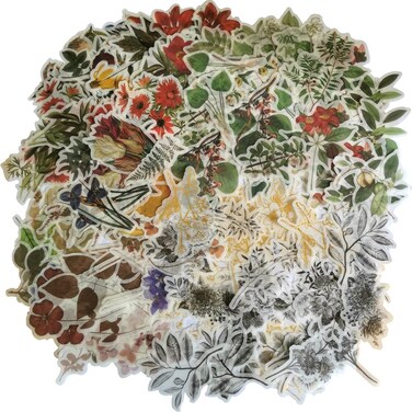 Washi Paper Floral Scrapbooking Sticker Pack 240PCS + 6 Sheets Plant Leaf Mushroom Adhesive Stickers for Journaling Scrapbook DIY Art Project Journal Planner Water Bottle Card Envelope Gift Wrapping