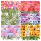 Knaid 600 Pieces Clear Flower Stickers Set, Transparent Floral Botanical Aesthetic Journaling Stickers for Nature Scrapbook Supplies Card Making Junk Journal Bullet Journal Planner DIY Crafts
