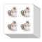 Squirrel Stickers 1in for Scrapbooking, Arts, Craft, Kids DIY, Calendars Journals 80-Pack