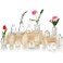 Glass Bud Vase 15 Pcs for Centerpieces Wedding,Home Decor,Bud Vases in Bulk for Flowers,Small Vases for Christmas,Birthday Party,Wedding,Valentine's Day,Mother's Day,Other Events Decorations(Clear)