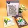 1set Tulip Flower Dies Spring Floral Metal Cutting Die Cut for Paper Craft Handmade Card Template Greeting Cards Scrapbooking &amp; Album Decor Art Set from Alina Craft