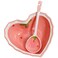 ABOOFAN Heart Shaped Dessert Bowl Ceramic Strawberry Fruit Bowl Ice Cream Bowl Pudding Bowls with Spoon Salad Bowl Snack Bowl Appetizer Plates for Soup Cereal Nuts Oatmeal