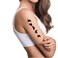 Temporary Tattoos Flying Wild Geese Removable Waterproof Fake Tattoo DIY Body Fashionable Art Sticker for Women Kids Men Girls (Wild Geese Sunset)