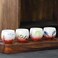 MQjzsh Hand drawn Chinese Japanese style traditional ceramic tea cup set of four, tea set, kung fu tea cup, coffee cup (red 2)