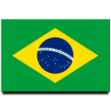 Brazil Flag Fridge Magnet Sao Paolo Travel Souvenir Copacabana Latin America Rio de Janeiro